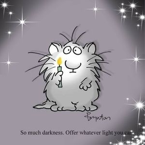 Meet your Posher, Liz